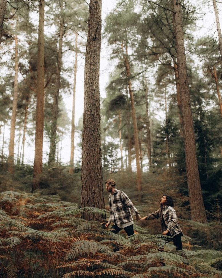 Aaron & Silva — forest path, Crone Wood, Co. Wicklow