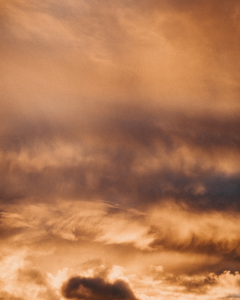 Anastasia & Adam — Bull Island golden hour, Bull Island, Dublin Bay