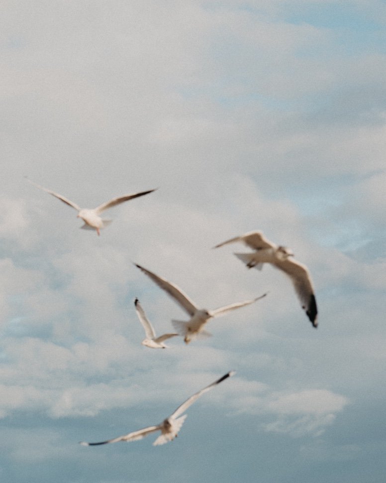 Anastasia & Adam — Anastasia & Adam — couples photography, Bull Island, Dublin Bay, Bull Island, Dublin Bay