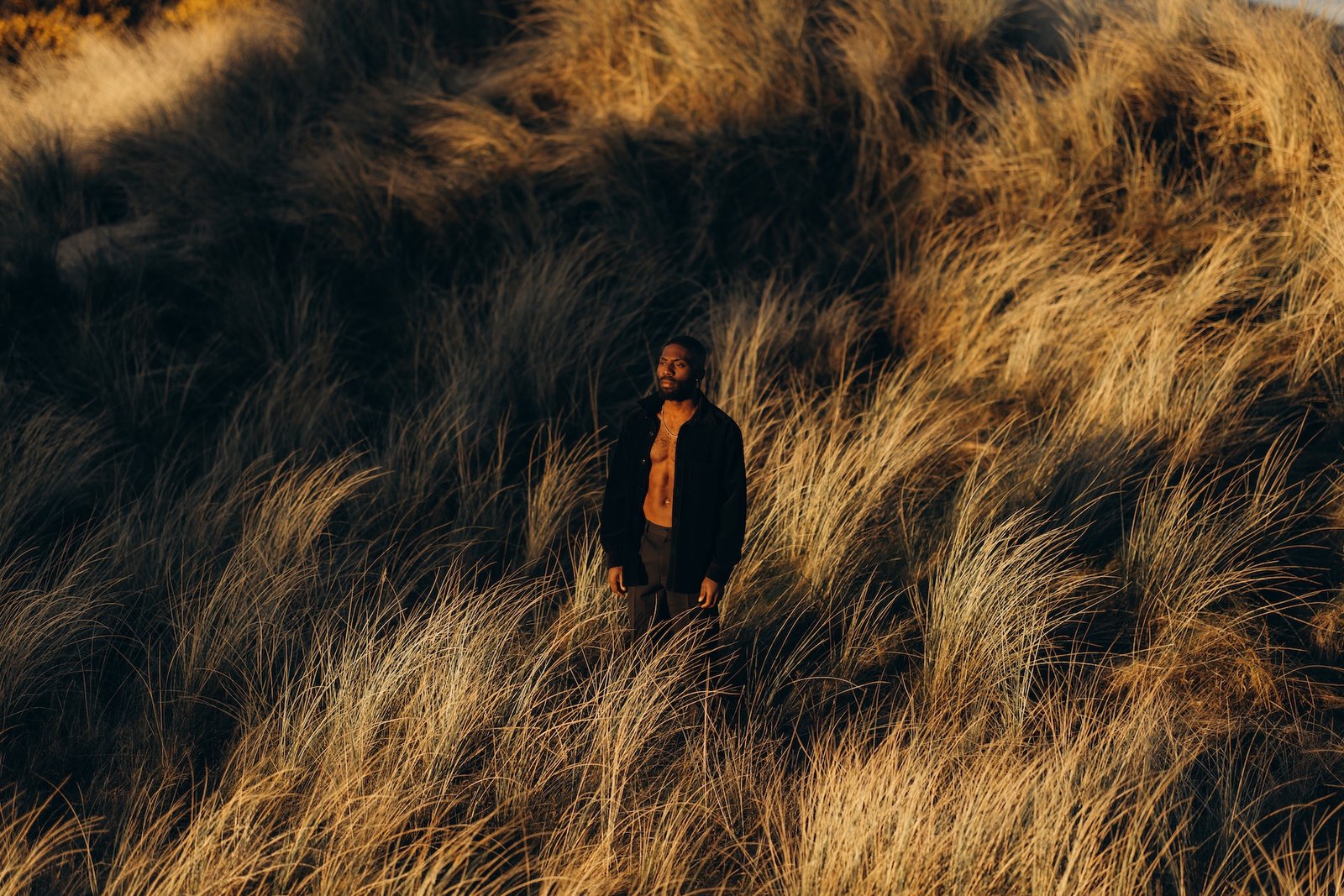 Black Paddy — portrait, Wicklow coast
