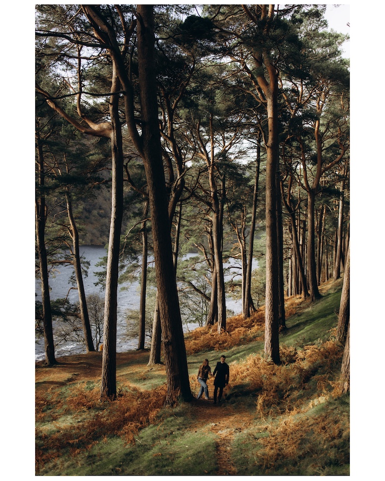 Dima & Kate — golden forest light, Glendalough, Co. Wicklow