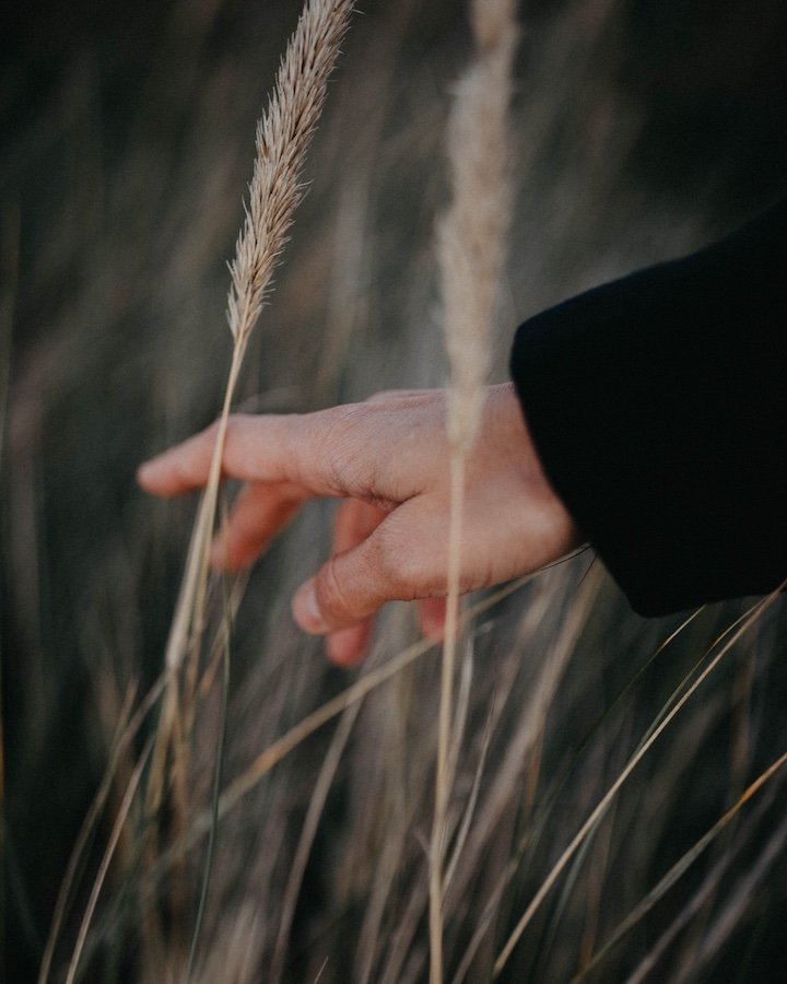 Miki — portrait, south Dublin