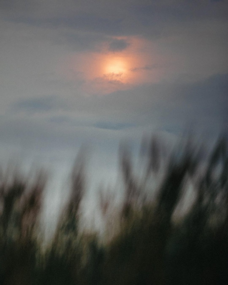 Sasha & Rafal — sea breeze couple Bull Island, Bull Island, Dublin Bay